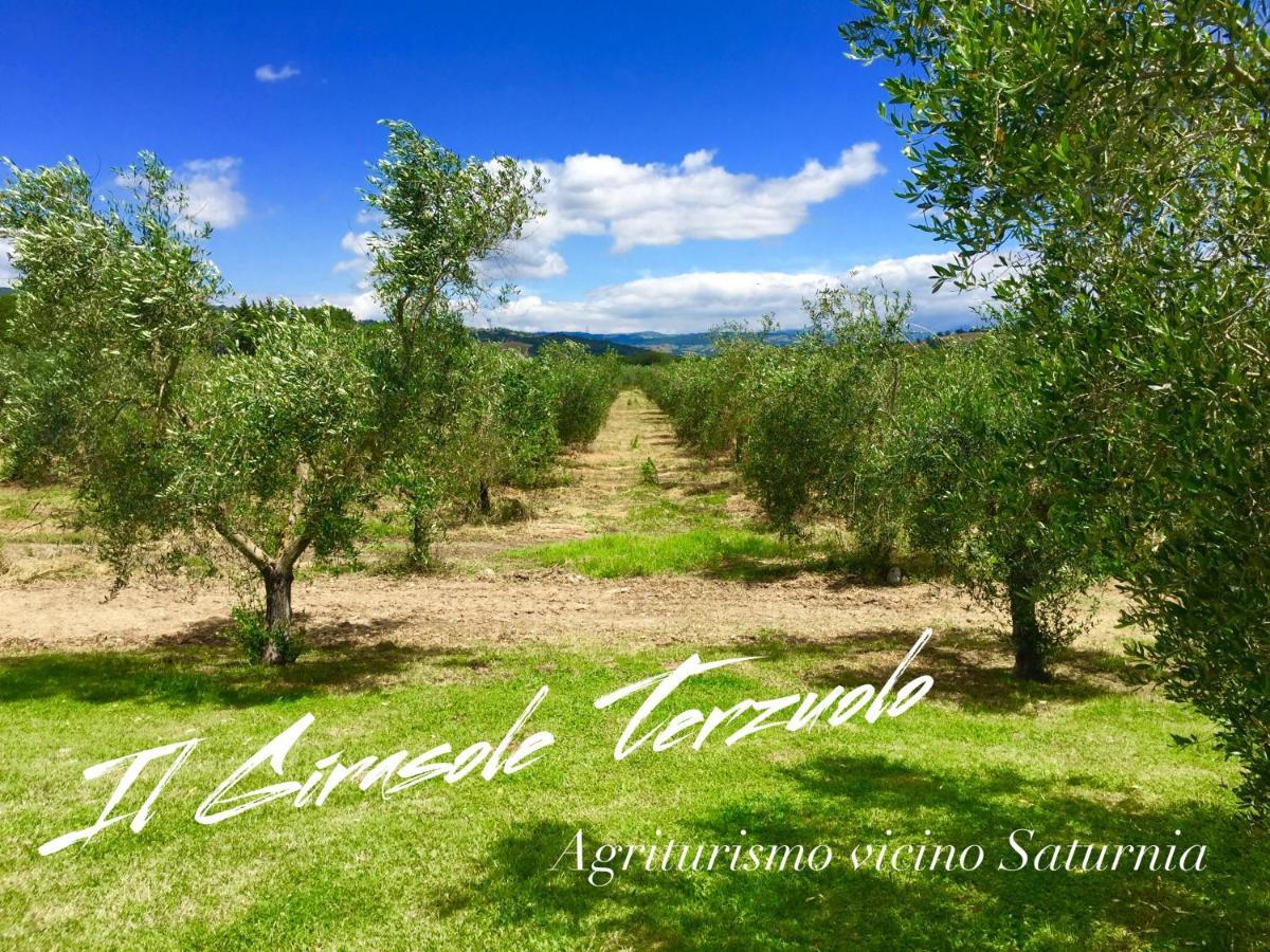 Villa Il Girasole Terzuolo à Manciano Extérieur photo